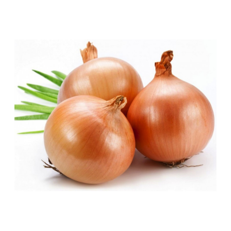 CEBOLA APERITIVO - SC 10KG