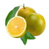 LARANJA PERA 11 DZ MIUDA - KG