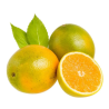 LARANJA PERA 13 DZ MIUDA - KG