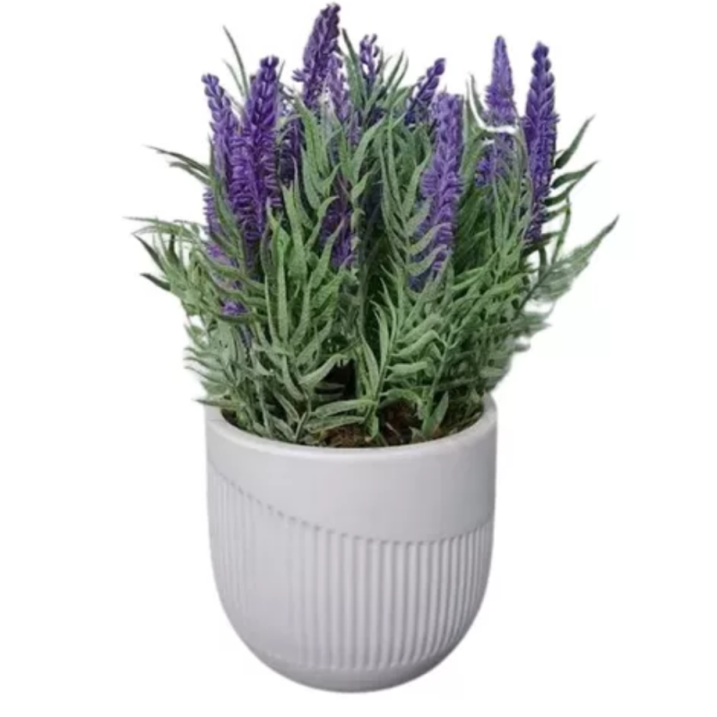 LAVANDA - VASO