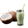 POLPA DE COCO - PCT 01KG
