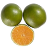 LARANJA PERA 13 DZ - CX 20KG
