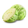 REPOLHO VERDE - CX 20KG