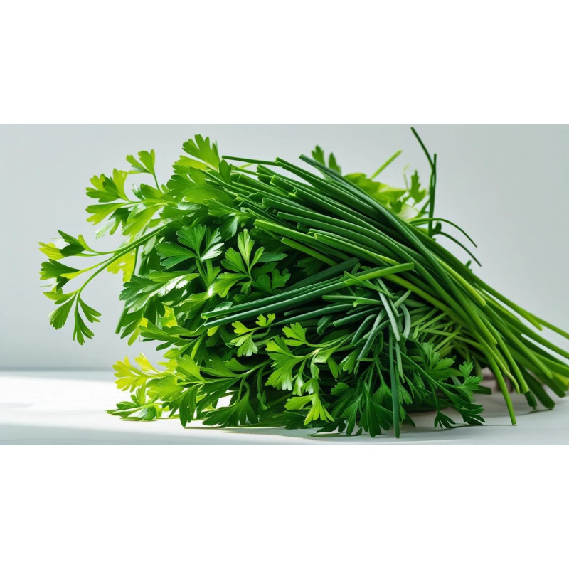 CHEIRO VERDE - MACO DOMESTICO