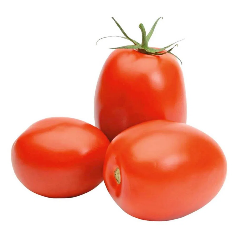 TOMATE MOLHO - CX 20KG
