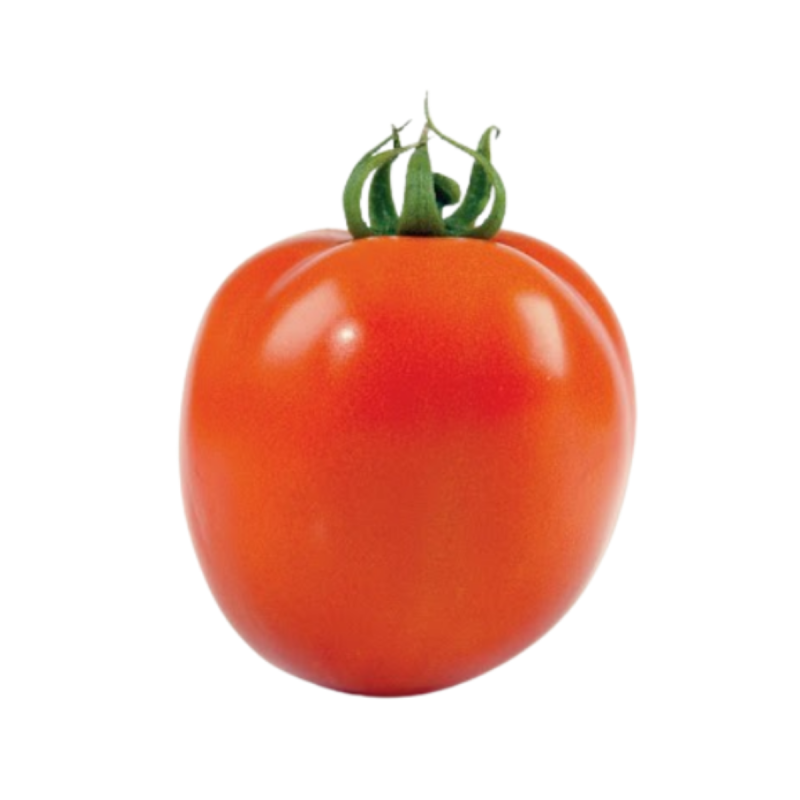 TOMATE DEBORA 2A - MEIA CX 10KG