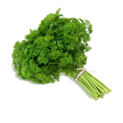 SALSA CRESPA - MACO