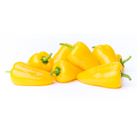 PIMENTAO AMARELO - CX 10KG