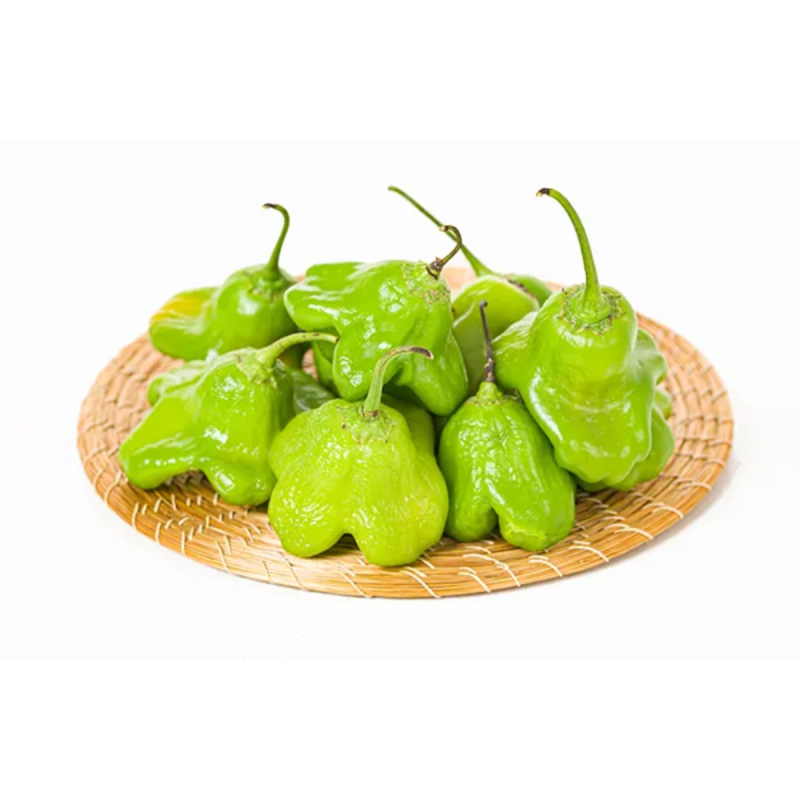 PIMENTA CAMBUCI - KG