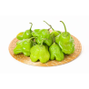PIMENTA CAMBUCI - KG