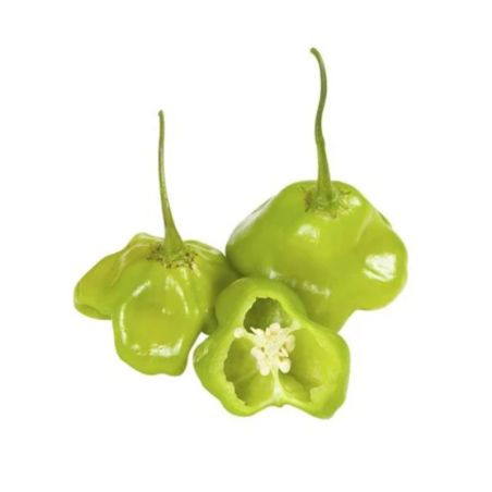 PIMENTA CAMBUCI - CX 08KG