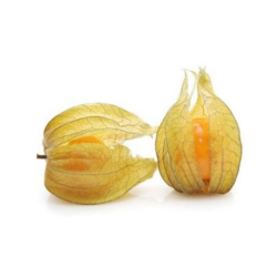 PHYSALIS - BANDEJA 100G