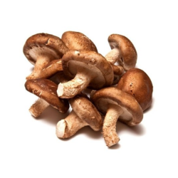 COGUMELO SHITAKE - BANDEJA 200G