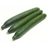 PEPINO JAPONES - MEIA CX 10KG