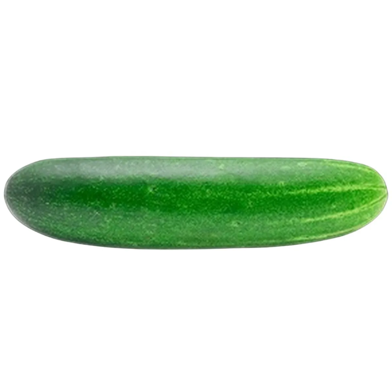 PEPINO COMUM - CX 20KG