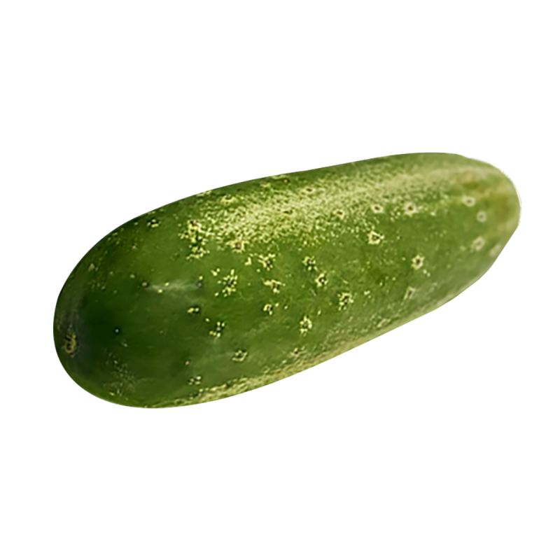 PEPINO CAIPIRA - BANDEJA