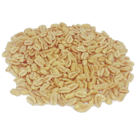 AMENDOIM BANDA TORRADO SEM SAL - SC 10KG