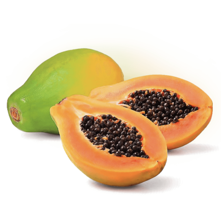 MAMAO PAPAYA T.15 PAPELAO - CX 08KG