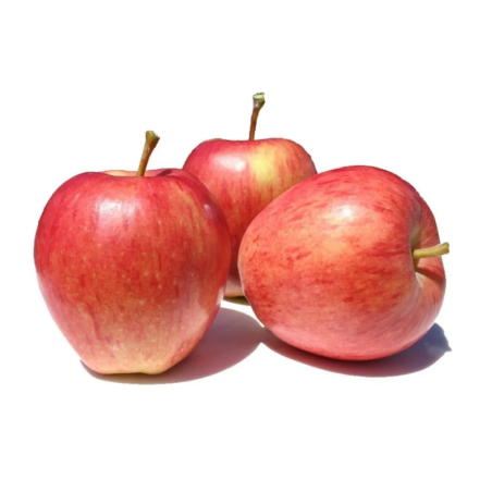 MACA RED CHILENA T.088 - CX 18KG