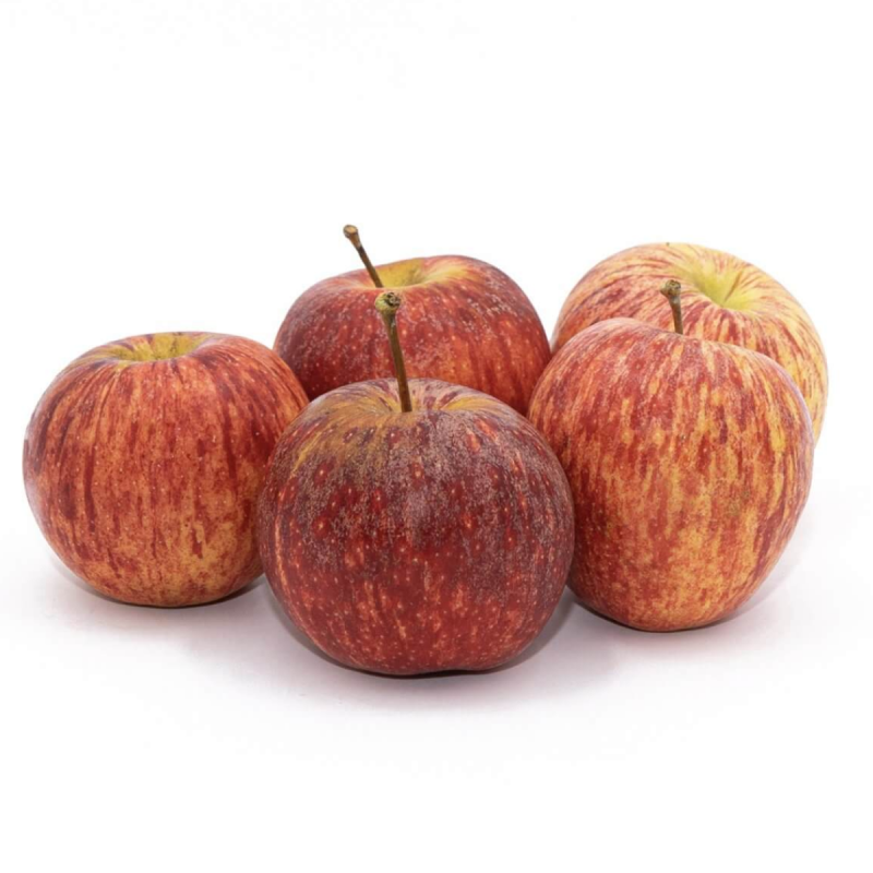 MACA GALA T.165 CAT 1 - CX 18KG