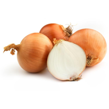 CEBOLA C.3 - KG