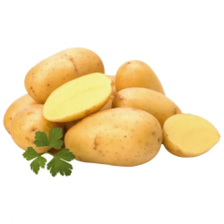 BATATA ESPECIAL REGIAO - SC 25KG