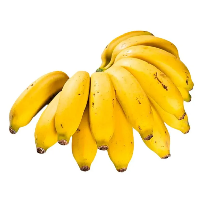 BANANA MACA - CX 16KG